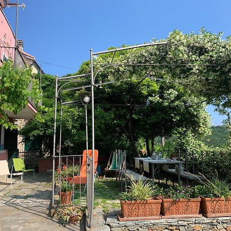 La Casa Di Sandra A Noli Villa Bagian luar foto
