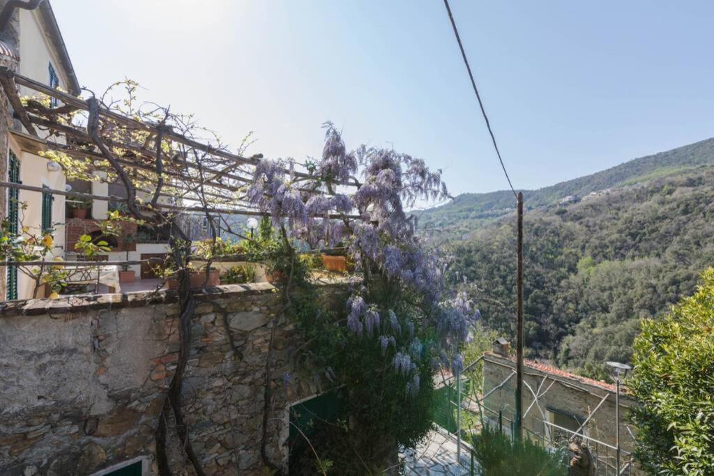 La Casa Di Sandra A Noli Villa Bagian luar foto