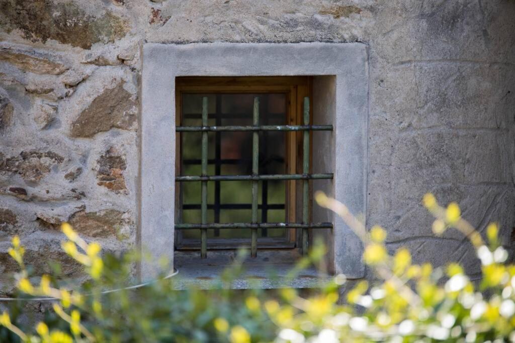 La Casa Di Sandra A Noli Villa Bagian luar foto